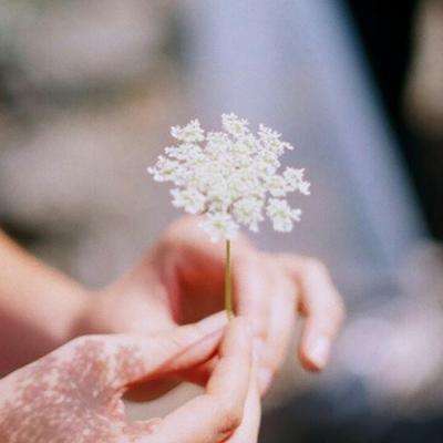 熊猫体育娱乐APP/手机APP下载正式版